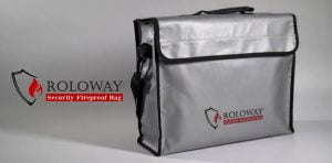 Read more about the article Best Fireproof and Waterproof Document Bags In 2022