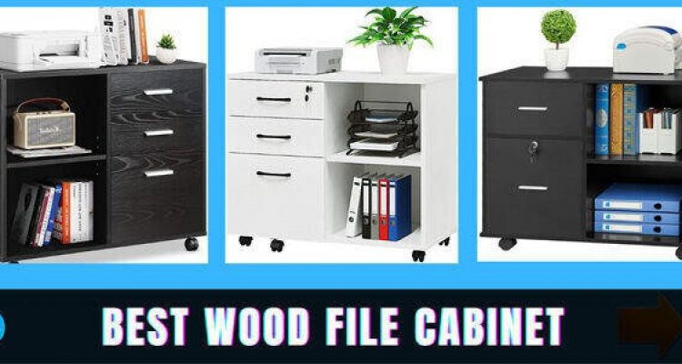 Best Wood File Cabinet with Lock (2 and 3 Drawer) in 2024